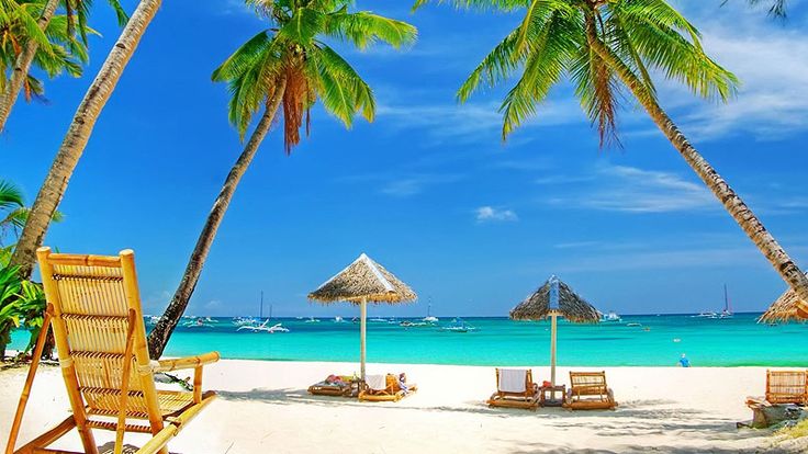 Relax at beach shacks
