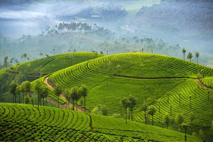 Kerala Adventure & Leisure | Nature, Wildlife & Culture