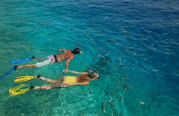 Snorkeling (optional)