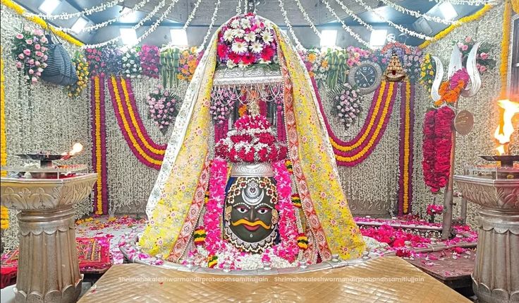 Activity & Sightseeing