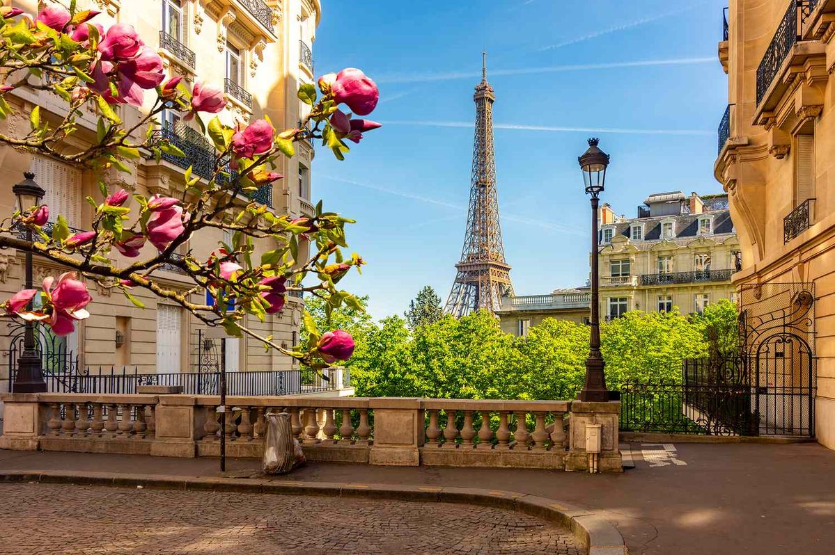 Paris City