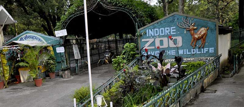 Kamla Nehru Prani Sangrahalaya (Zoo)