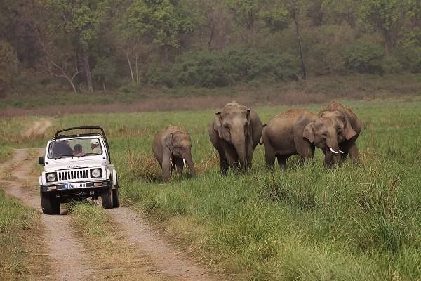 Jim Corbett National Park