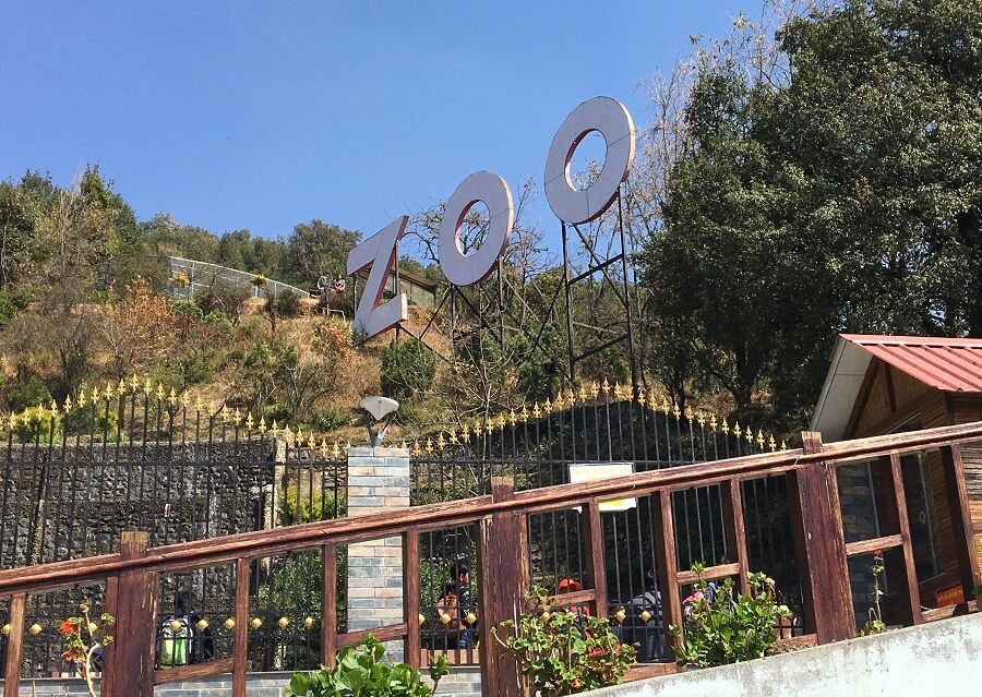 Zoo visit