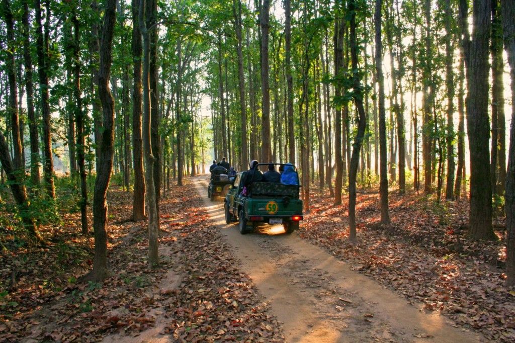Kanha National Park