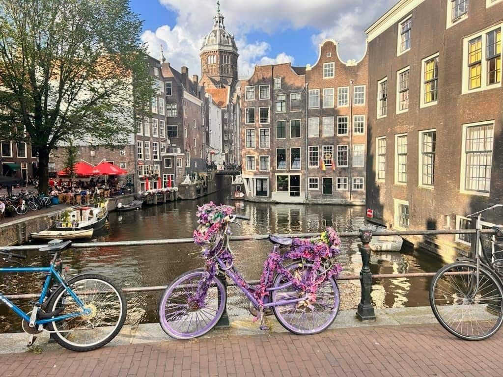 Activity & Sightseeing