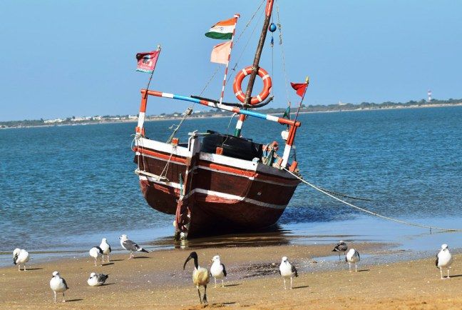 Bet Dwarka (island visit by boat)