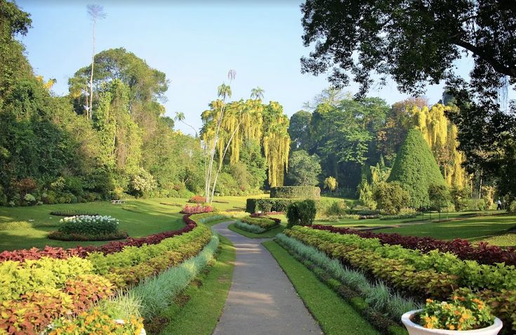 Royal Botanical Garden